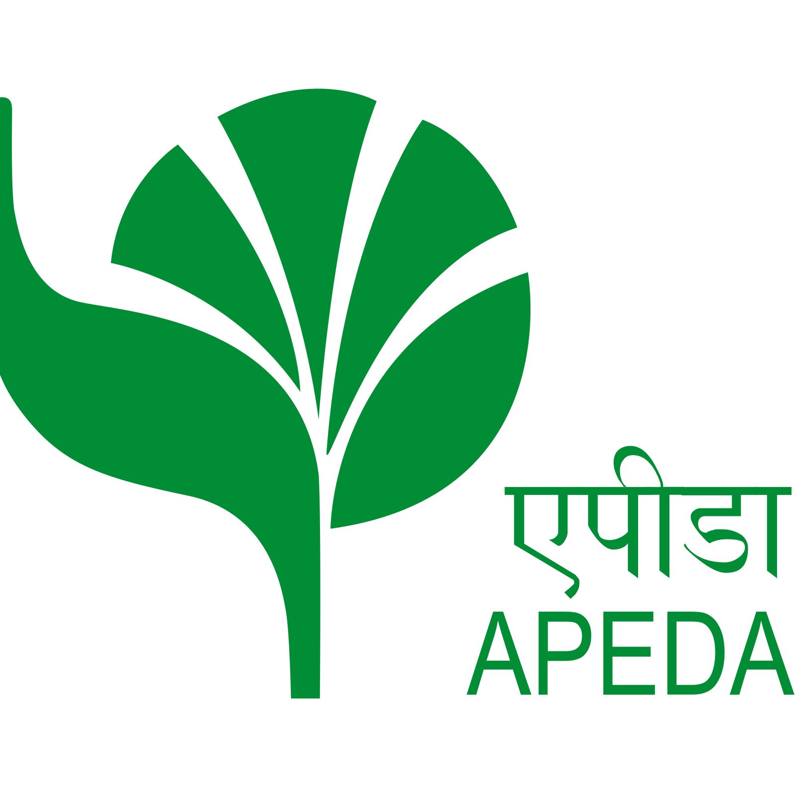 apeda-seeklogo.com