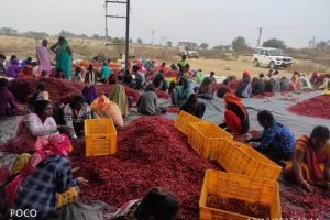 kisan3